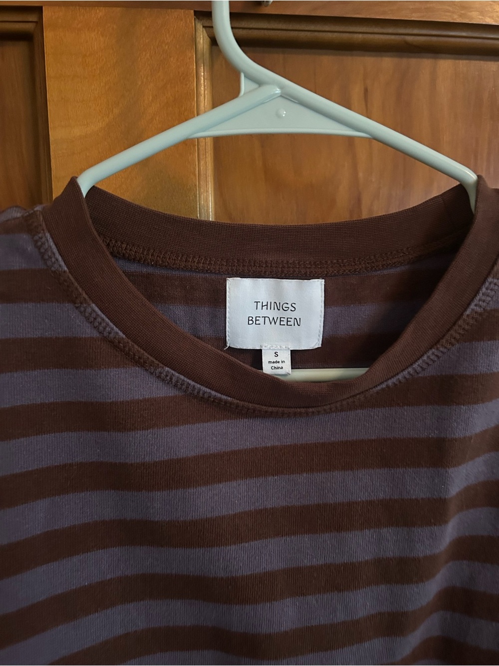 Things Between Brown and Blue Striped Tee - Picture 2 of 2